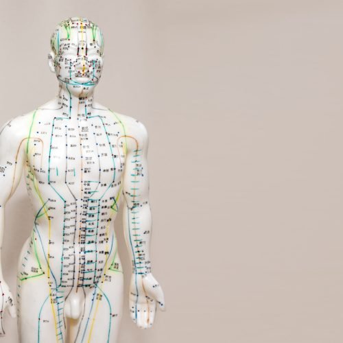 Oriental Medicine model in hospital. Plastic male acupuncture model. Traditional Chinese medicine. It is most often used to attempt pain relief. Copyspace for text.