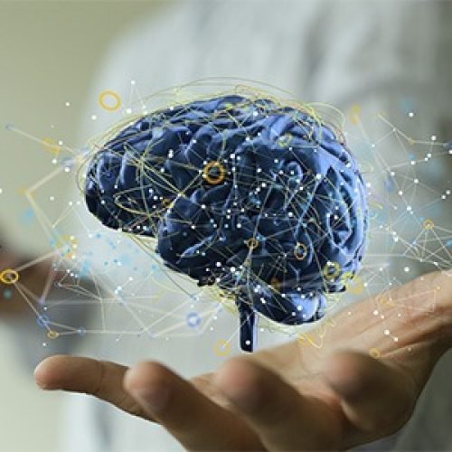 img-mind